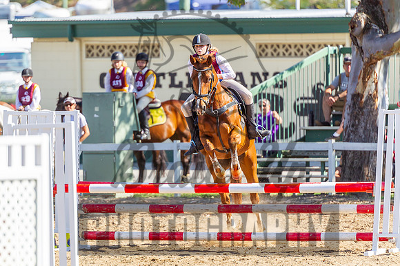 BUP_3636