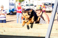 Lowood Show Dog High Jump 2018