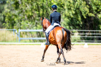 Dressage