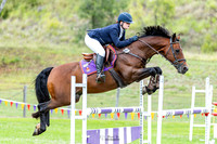 Showjumping