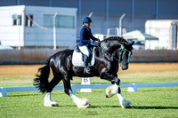 LEG & TDI Comp 9 May