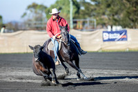 Sunday Campdraft
